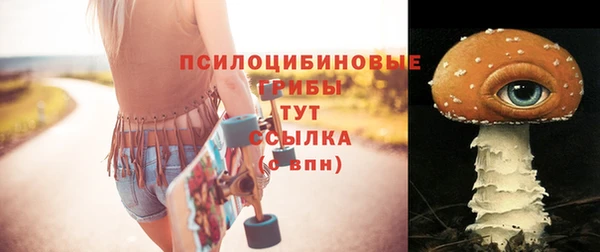 2c-b Калининец