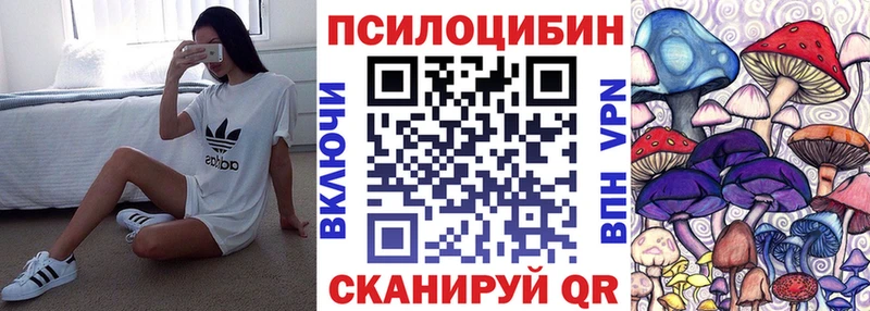 Псилоцибиновые грибы Cubensis  Купить  Суздаль 